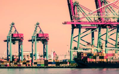 Årsredovisning 2024