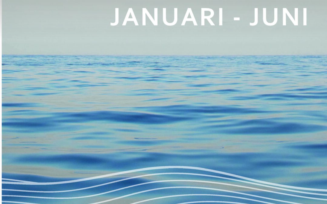 Delårsrapport 1 januari – 30 juni 2025