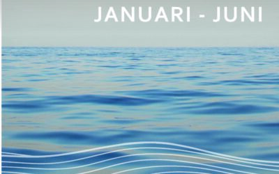 Delårsrapport 1 januari – 30 juni 2025