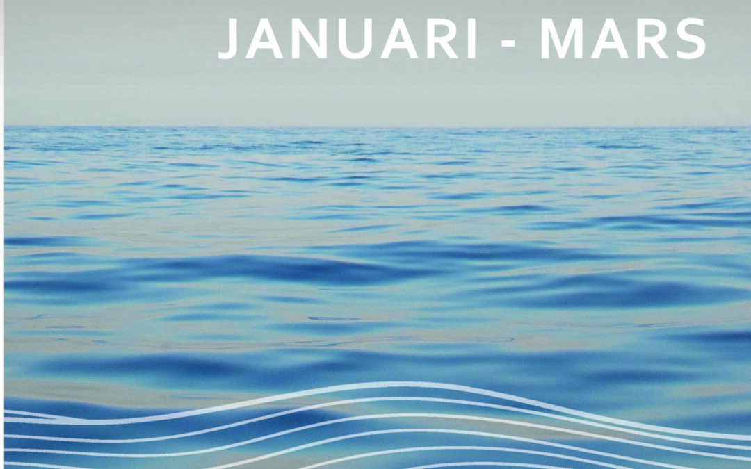 Delårsrapport 1 januari – 31 mars 2026