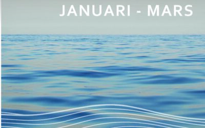 Delårsrapport 1 januari – 31 mars 2026