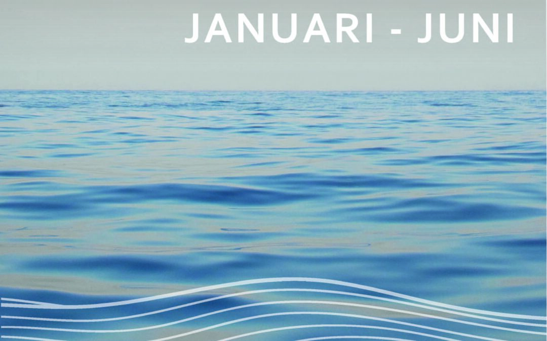 Delårsrapport 1 januari – 30 juni 2026