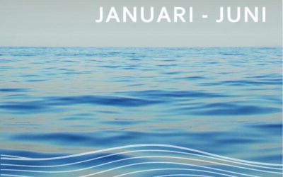 Delårsrapport 1 januari – 30 juni 2026